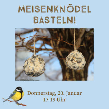 Flyer Meisenknödel basteln