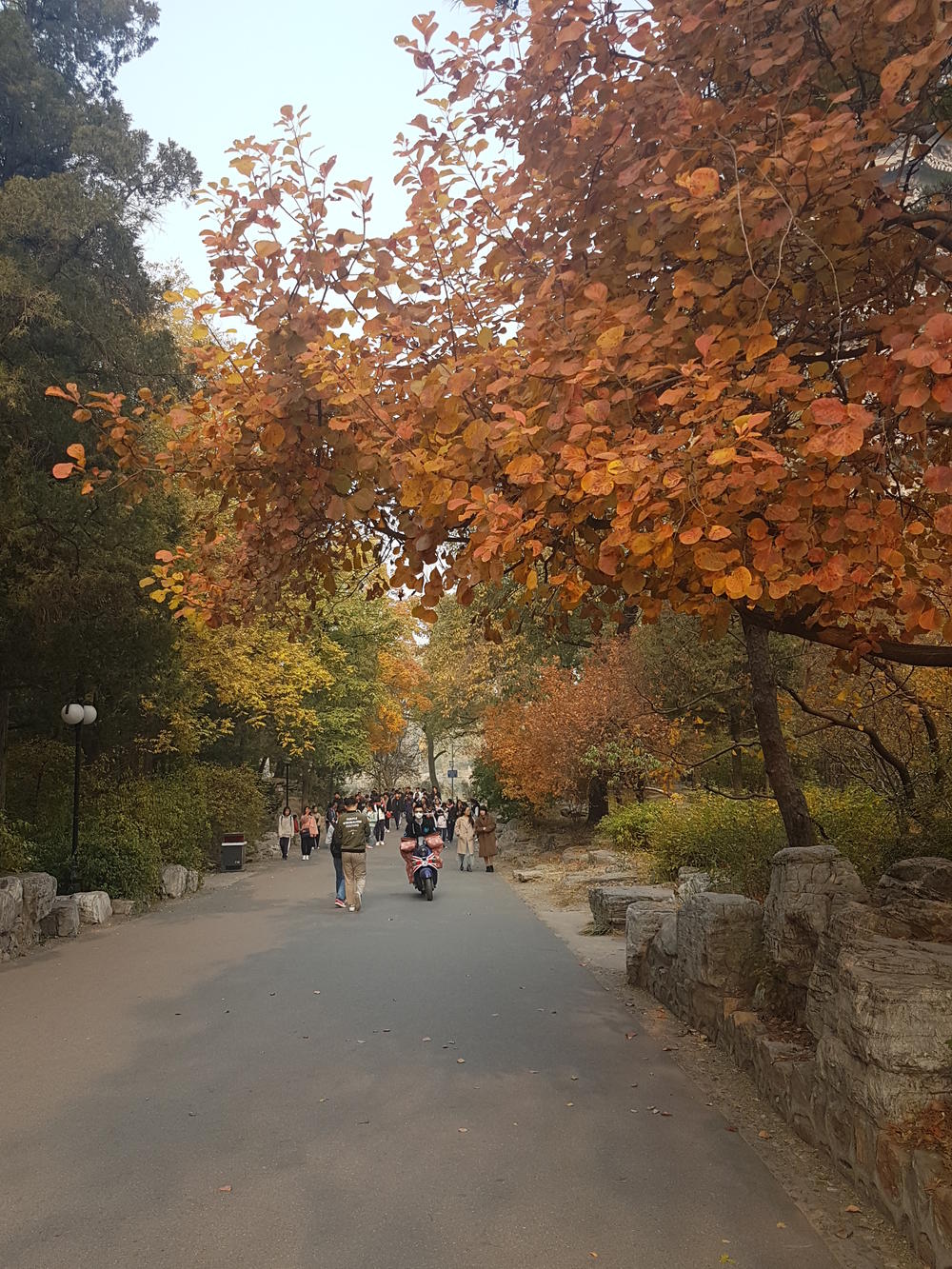Auf dem Campus der Peking Universität.
