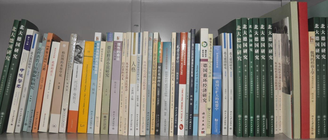 Publikationen am ZDS