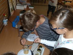 Kinder experimentieren im NatLab.