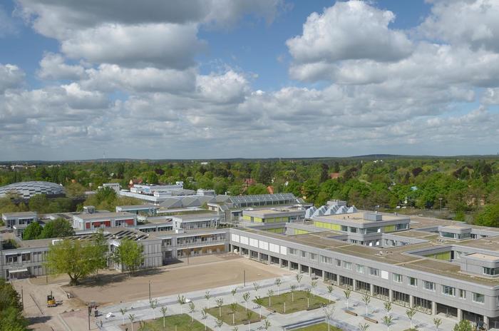 Silber_Holzlaube