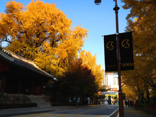 Campus