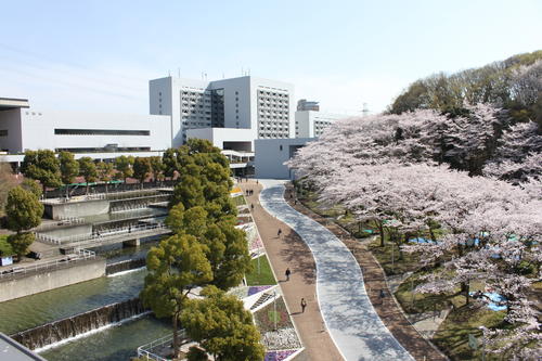 Campus