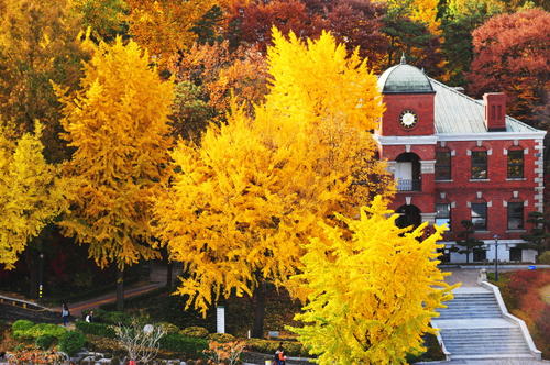 Campus