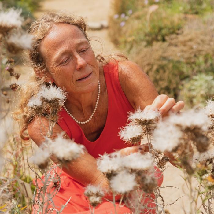 Elke Zippel