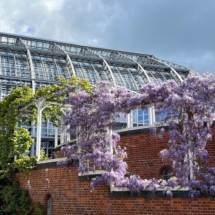 Botanischer Garten Berlin