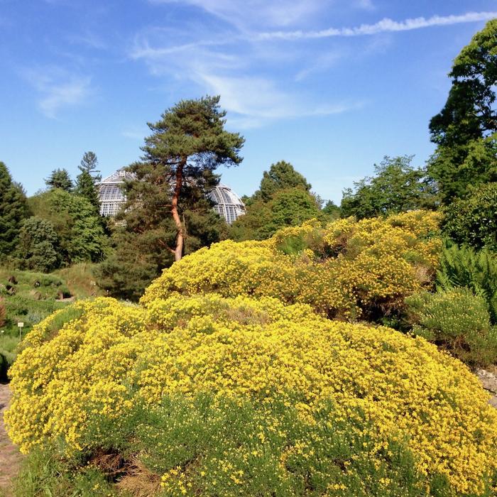 Botanischer Garten Berlin
