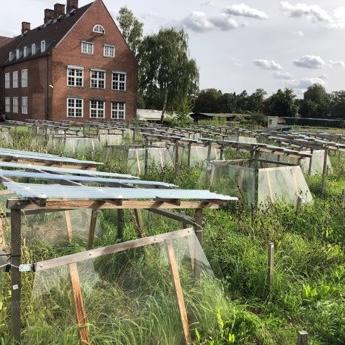 Global Change Experiment