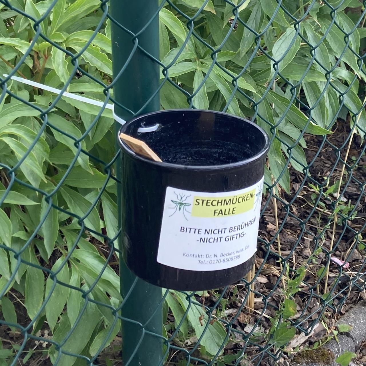 Eiablagefalle in einer Kleingartensiedlung