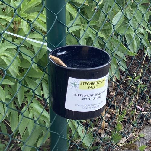 Eiablagefalle in einer Kleingartensiedlung