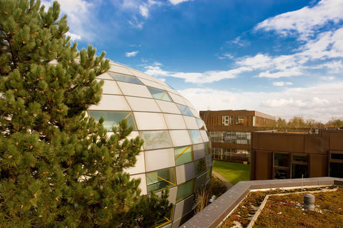 Die Philologische Bibliothek von Lord Norman Foster wird von der Rost- und Silberlaube umschlossen