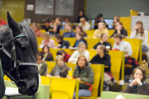 Die Freie Universität ist eine der fünf Ausbildungsstätten für Tierärzte in Deutschland.